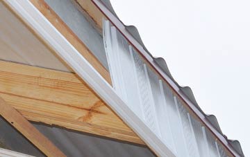 why Upper Littleton fascia repairs are essential