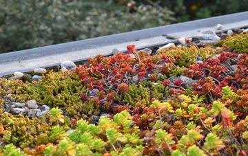 the cost of Upper Littleton green roof installation