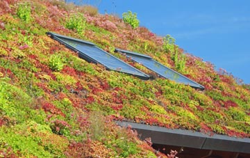 Upper Littleton living roof systems