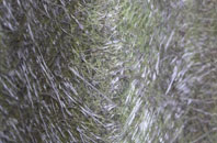 Upper Littleton fibreglass roof work